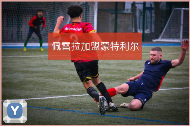 佩雷拉加盟蒙特利尔